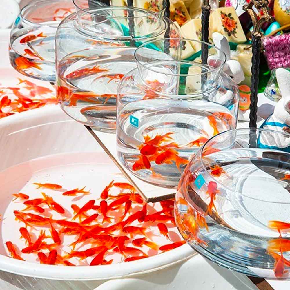 g1 نوروز در تهران